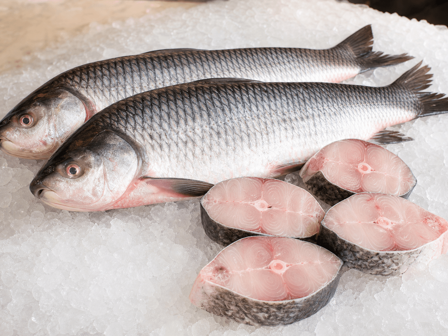Fish